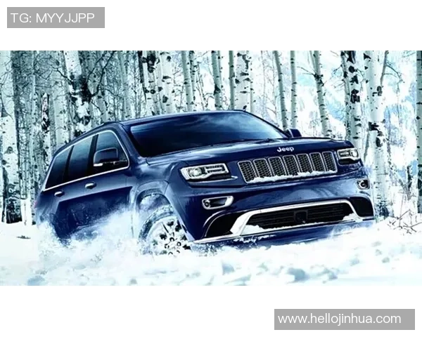 V5在挑战者杯中的表现分析与状态评估探讨