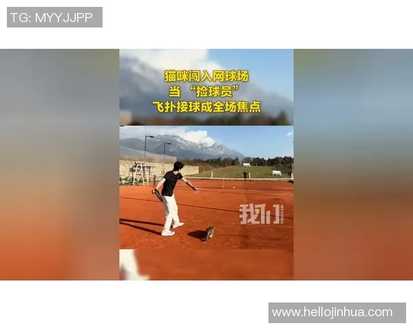 北京网球队技术争议引发热议球员表现与战术选择成焦点讨论