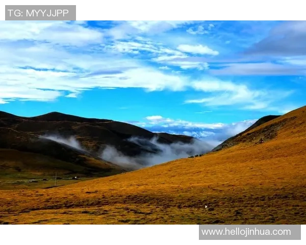 崔永熙的艺术之路与人生哲学探讨:从初心到成就的心灵旅程 崔永熙的艺术之路与人生哲学探讨:从初心到成就的心灵旅程